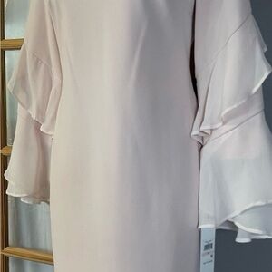 Calvin Klein Light Pink Ruffle Sleeve Long Sleeve Dress